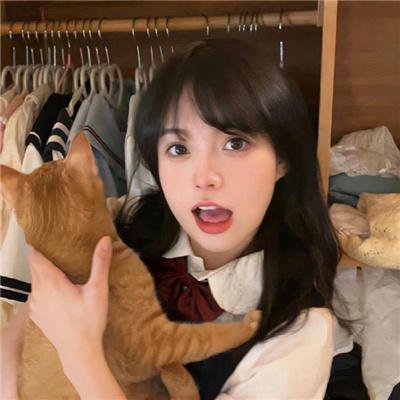 功夫无敌